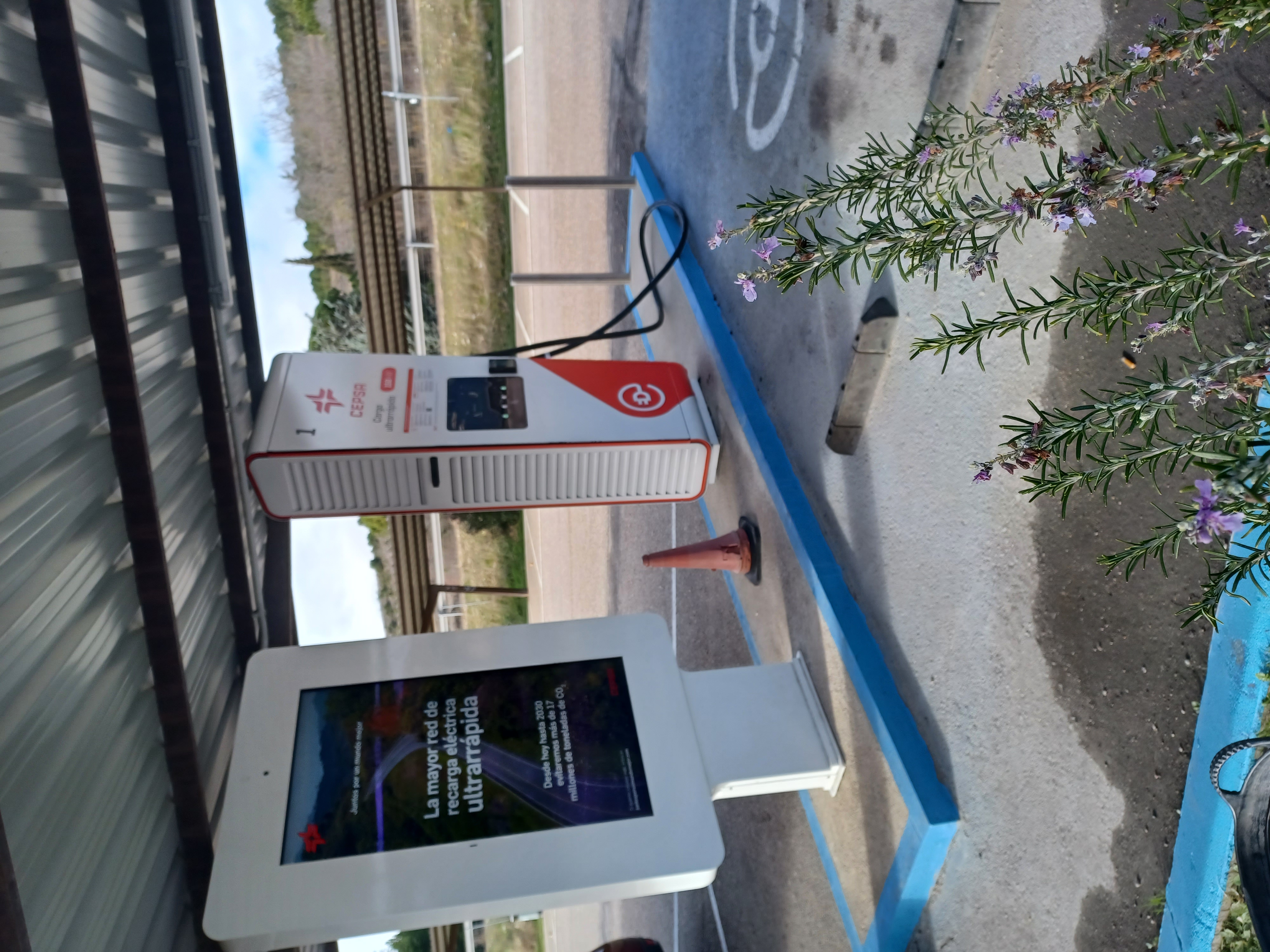 20260203_110524.jpg 0