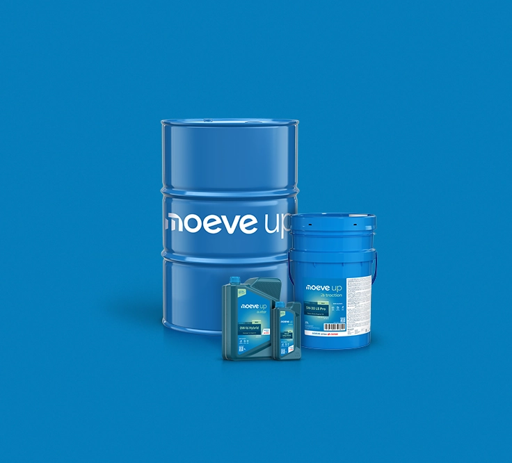 banner-bodegon-.webp