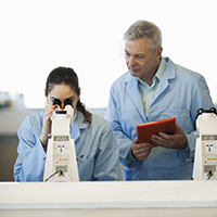 Scientists at work