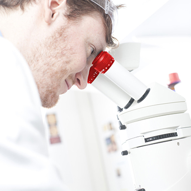 científico investigando