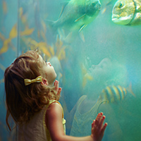 kid at the aquarium 