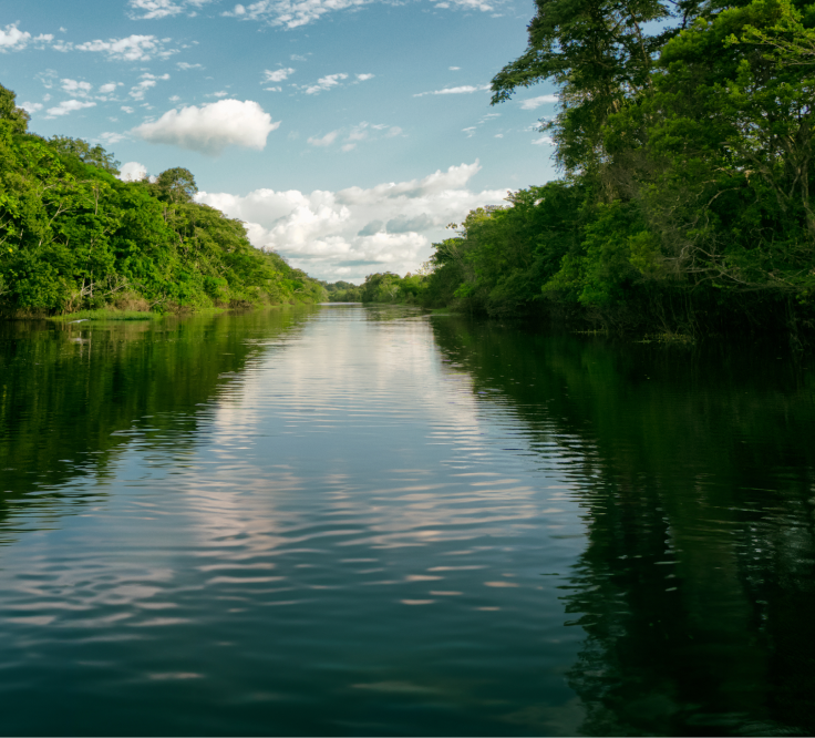 01-hero-header-carteles-ecologicos-dk.webp