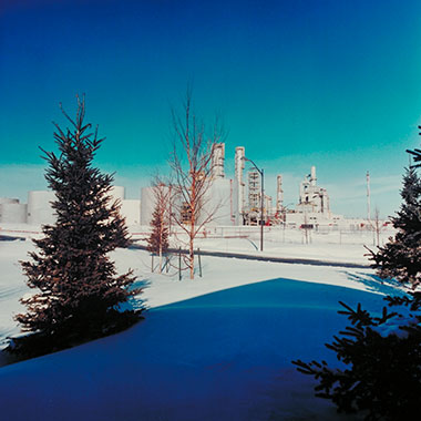 nieve