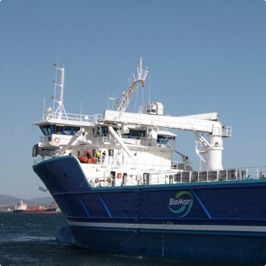 m17_ferrys.jpg