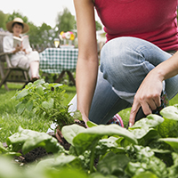 Woman gardening